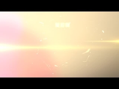 側面進水の点検枝ideoの検査システム